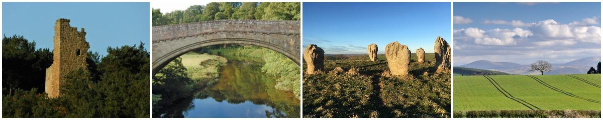 collage of local views