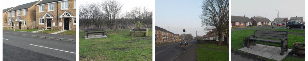 collage of local places