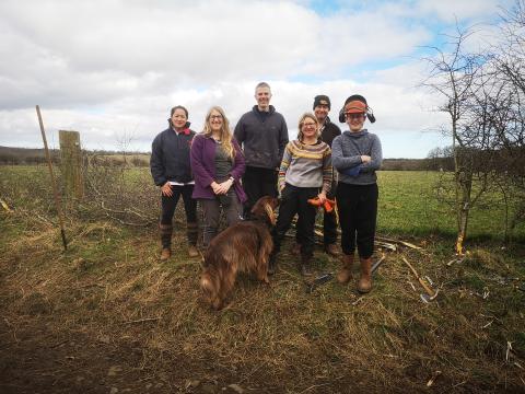 Hedge Laying Spring 2025